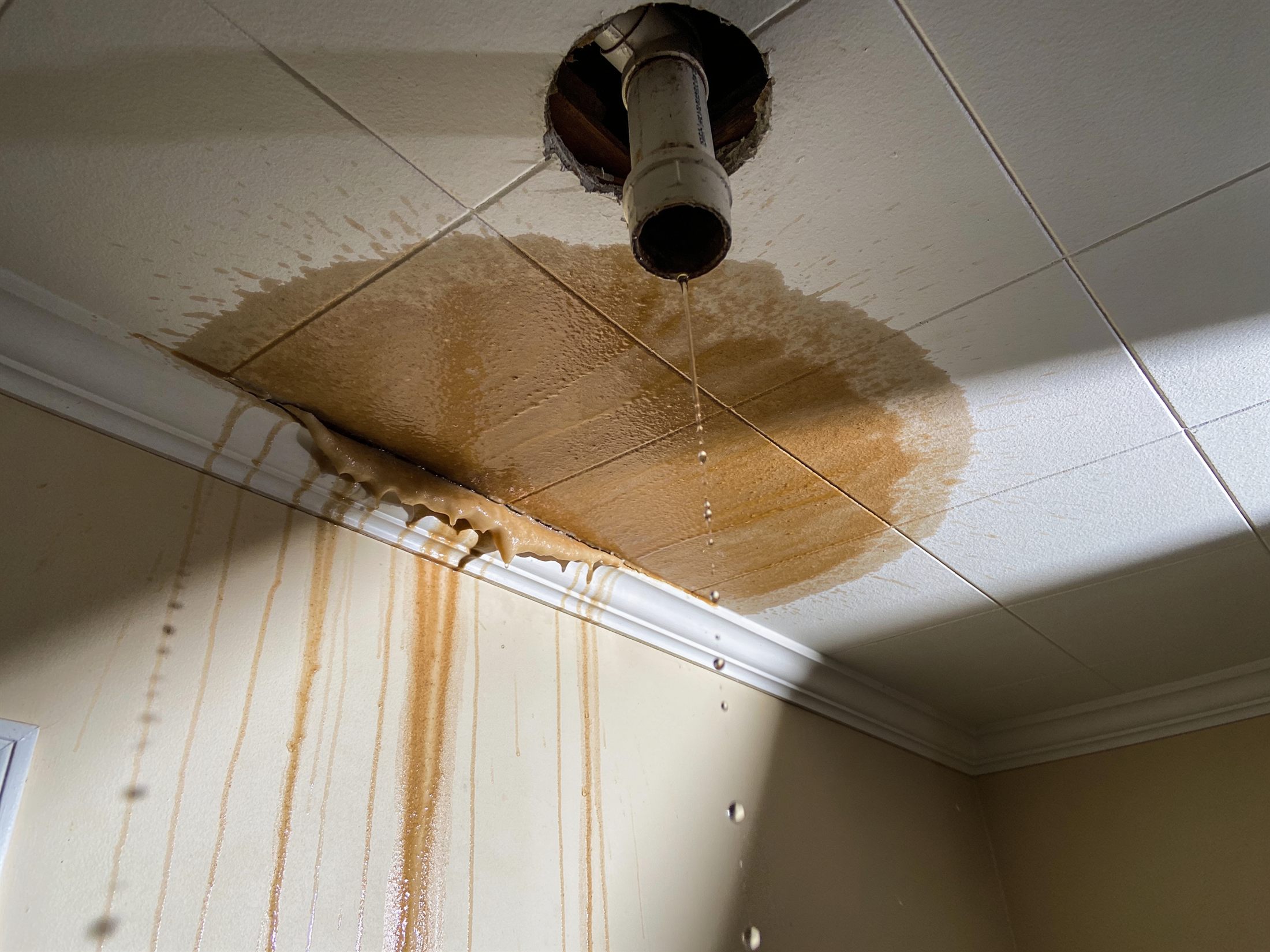 Water-stained ceiling actively dripping from a burst pipe